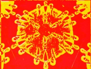 The Coasters The Early Years Their Greates Recordings LP [ATCO SD 33-371] - Imagen 1 de 10