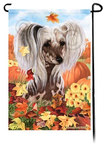 Falling Leaves Garden Flag - Hairless Chinese Crested - Picture 1 of 1