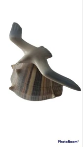 Vintage Möwe Küstenvogel Strand Krone Muschel Muschel Kunst Skulptur von Crowning Touch - Bild 1 von 12