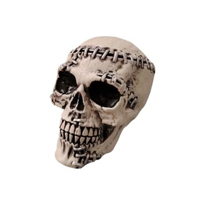 Crâne - Imagen 1 de 1