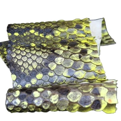 Genuine Large Python Belly Piece Snake Skin Hide Leather Snakeskin Pearl Yellow - Image 1 of 4