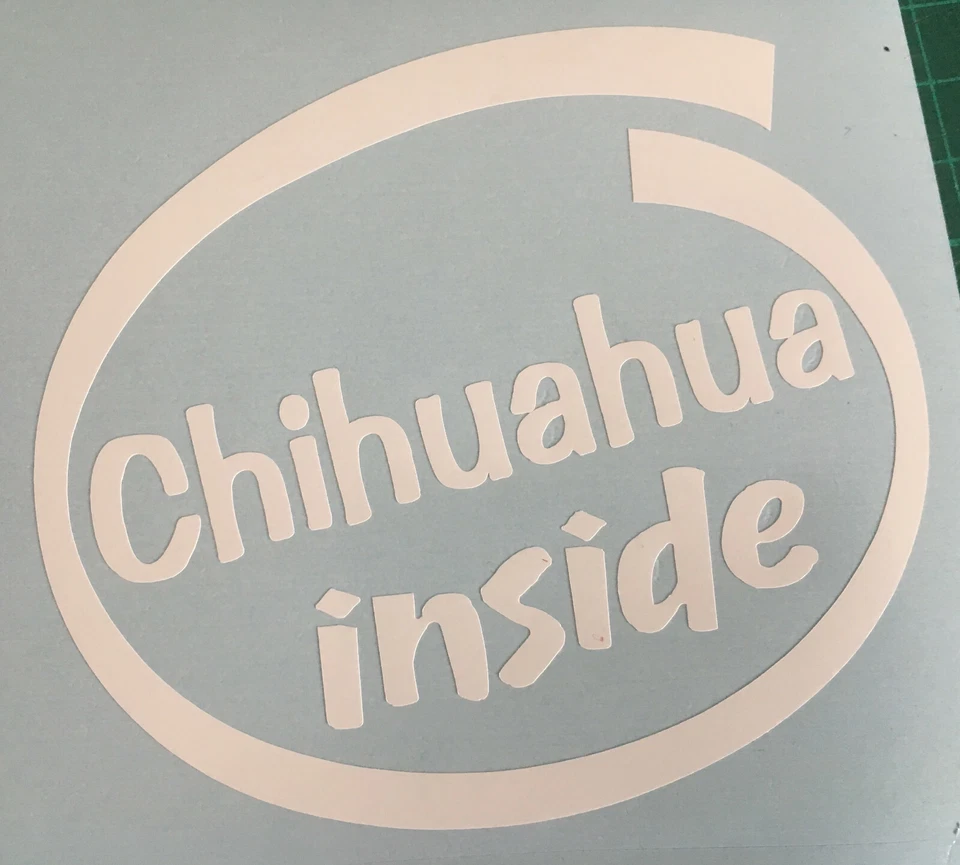 CHIHUAHUA INSIDE DOG ON BOARD CAR WINDOW STICKER DECAL IN WHITE ALL COLOURS MADE - Image 1 of 4