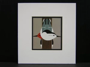 Charles Harper Upside Downside Nuthatch Matted Art Card - Picture 1 of 1