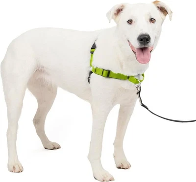 PetSafe Easy Walk Deluxe Dog Harness, No Pull Medium/Large, Apple Green  - Image 1 of 4