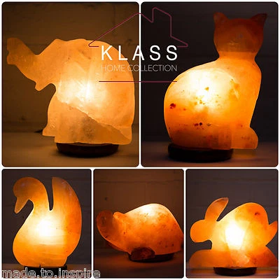 Natürliche Himalaya Steinsalz Lampe Handarbeit TIER Salz Lampen + Dimmer Kabel & Birne - Bild 1 von 4