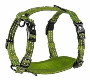 Alcott Adventure Dog Harness  Green Small adjustable puppy dogs walking harness - Picture 1 of 4