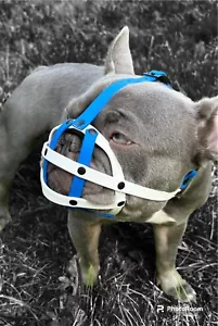 Polymer Dog Muzzle | Training & Behaviour | Waterproof | Frenchie - Picture 1 of 18