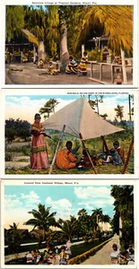 Lot of 3 Seminole Native American Florida Postcards Camp Tent Tropical Gardens - Picture 1 of 7