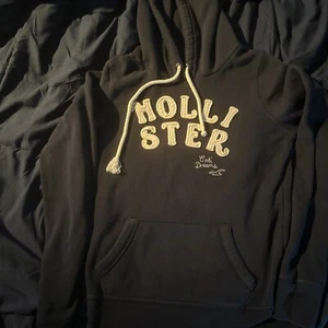 Hollister Sweatshirt Girl Sz Large Blue Long Sleeve Hoodie Embroidered Pullover - Picture 1 of 5