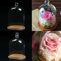 Clear Glass Cloche Display Jar Bell Flower Preservation Vase Dome Bottle w/ Base