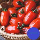 100+ Tomato Seeds San Marzano Heirloom  | Indeterminate Non-gmo | Garden Seeds