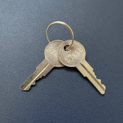 ILCO (2) Stant Gas Cap Keys Cut to Key Code ST501 - ST700 --READ DISCLAIMER!