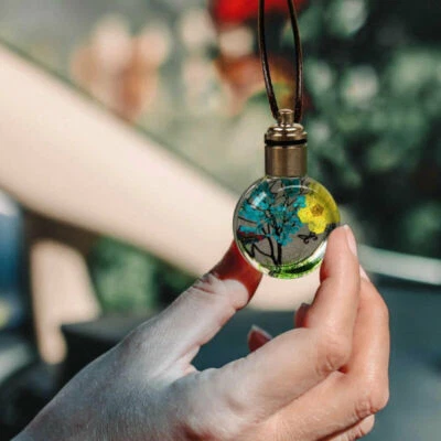 Coche Luminoso Flor Seca Mariposa Bola de Vidrio Coche Colgante Decoración Accesorios Foto 1 de 4