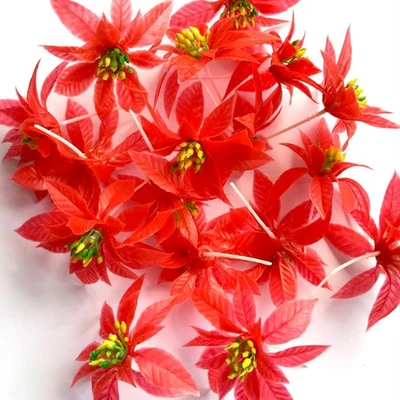 17 piezas Selecciones de pastel/mapcakes de flores rojas de pascua grandes de vinilo de 4,5" de diámetro Nuevo de Lote Antiguo Foto 1 de 4