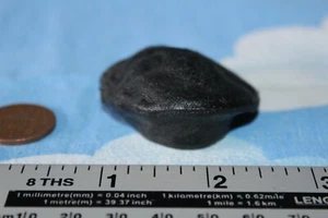 VINTAGE PALITOY ACTION MAN FRENCH RESISTANCE BLACK BERET CB75228 - Picture 1 of 4