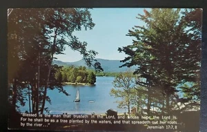 Scriptcard #116 w New York State scene Postcard - Bild 1 von 4