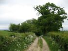 Photo 6x4 Green Lane on Ringers Hill Cantsfield Track guarded by parallel c2010