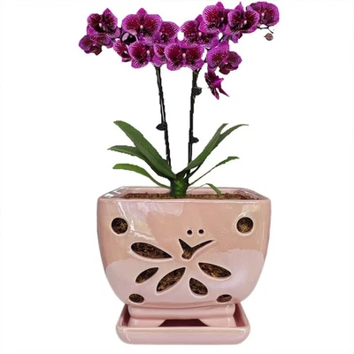 Orchid Pots with Holes Square Ceramic Orchid Planter Pots 5.5 inch Pink - Image 1 of 4