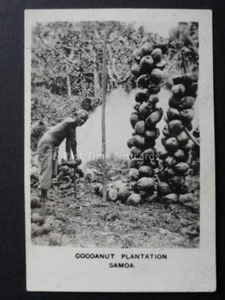 No.24L SOMOA COCOANUT PLANTATION RP Peeps Into Many Lands - Cavanders Ltd 1928 - Picture 1 of 1