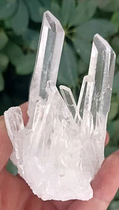 189g NATURAL TIBETAN CLEAR QUARTZ CRYSTAL CLUSTER AWESOME SPECIMEN - Picture 1 of 11