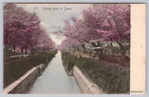 1905 Koganei, Musashi Japan Tamagawa Waterway Cherry Blossoms Rotograph Postcard - Picture 1 of 4