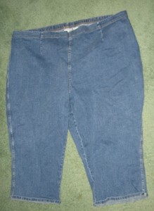 White Stag Plus Size Jeans for Women 