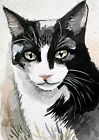 Original ACEO Cat Painting Drawing Miniature Art Card Atc Ooak C30