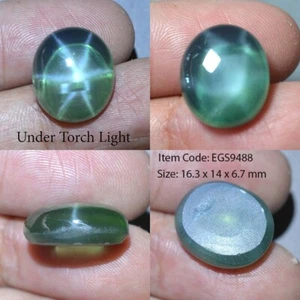19.20 Ct 16.3x14 MM Emerald Green Star Sapphire 6 Rays Lab Corundum VDO EGS9488 - Picture 1 of 6