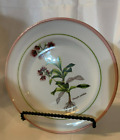 Poole Country Lane breakfast/salad plates- 5 each 8