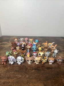 Littlest Pet Shop Hasbro LPS Figures Lot Of 37 Dogs Cats 2000s - Picture 1 of 19