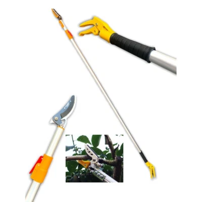 TOOLTEK FORBICI POTA POTATURA RACCOGLI FRUTTA ASPARAGI MANICO TELESCOPICO 3m