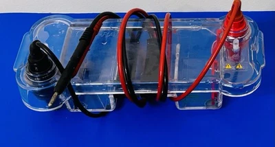 Bio Rad Electrophoresis Mini-Sub Cell GT - Imagem 1 de 2