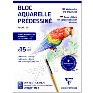 Clairefontaine 300gsm A3 Pre-Drawn Learning Watercolour Painting Pad: ANIMALS - Picture 1 of 1