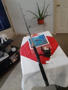 Spinning Fishing Rod SEGSUN 6'MED 6'12lb And Reel Shakespeare Sigma - Picture 1 of 16