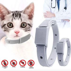 Anti Flea Tick Collar For Cat Small Dog Antiparasitic 8Month Protection Collar - Imagen 1 de 7
