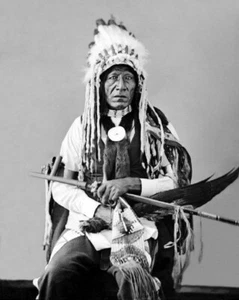 Gras als Schild verwendet Sihasapa Indianer, Indianer, Old West 8x10 Foto 30 - Bild 1 von 2