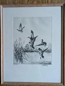 Lake Erie Mallards Richard E. Bishop 1938 Original Etching Professionally Framed - Picture 1 of 5