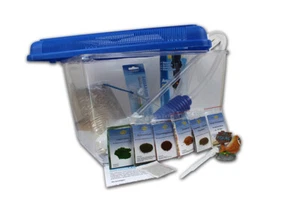 Triops Longicaudatus Komplettset Advanced III + Futter, Anleitung und Eier - Bild 1 von 9