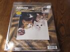 CATS' EYES COUNTED CROSS STITCH KIT BY JANLYNN