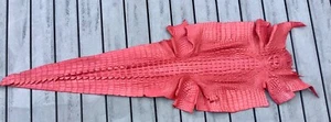 Soft Genuine Crocodile Leather Hide Skin Unique exotic large Display Decor red - Picture 1 of 3