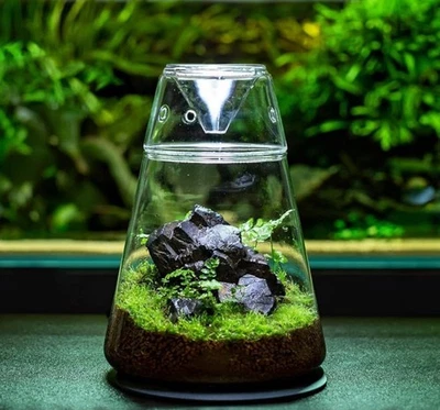 New Glass Terrarium For Desktop Small Footprint Clever Design Top Vent Dome Lid - Image 1 of 4