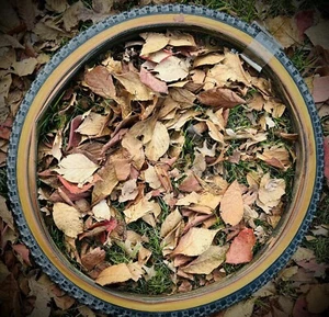 Specialized Tires 24” Tri Cross VINTAGE Japan NOS - Picture 1 of 7