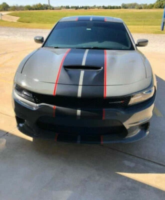 Se adapta a Dodge Charger Racing Stripes 10" Calcomanía Gráfica Vinilo 36 ft + Rayas Rojas Foto 1 de 3