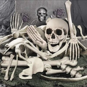 35 Teile Halloween Skelett Knochen Totenkopf Lebensgroß Skelett Knochen Deko Spukhaus - Bild 1 von 7