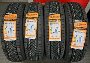 4 GOMME 165 70 R 14 81T NUOVE FORTUNA ECOPLUS 4S 4 STAGIONI M+S 3PMSF DOT 2024 - Foto 1 di 2