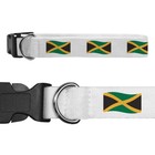 'Waving Jamaican Flag' Dog Collars (PR044507)