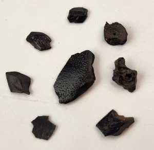 Fish Fossils (8) - Vertebra, Gar Scale - Hell Creek Fm. - Garfield Co, MT - Picture 1 of 18