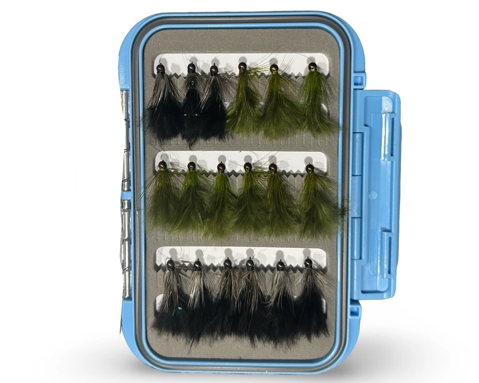18PCS Wooly Bugger Tungsten Jig Streamer Fly Fishing with Fly Box - Image 1 of 3
