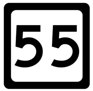 West Virginia Route 55 Aufkleber Aufkleber Autobahnschild Straßenschild R8255 - Bild 1 von 1