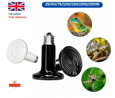 RIVERWOOD STORES Ceramic Heat Bulb Lamp ES27 Reptile Incubator Pet 25W 50W 75W 100W 150W 200W 250